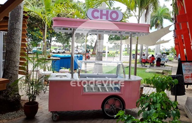 Custom Ice Cream Cart for Sale in Spain